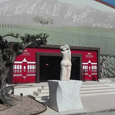 Casa Da Cotovia